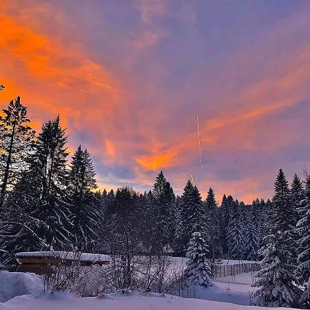 Chaletu Dren Lux - Banjska Stena