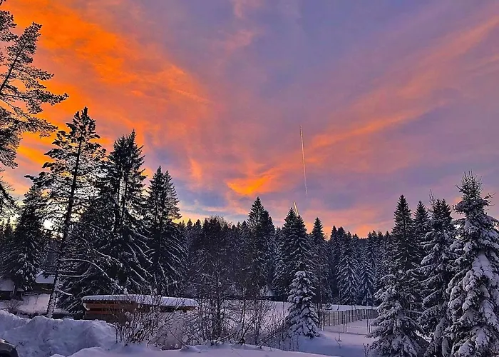 Chalet Dren Lux - Banjska Stena