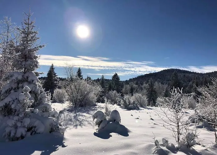 Dren Lux - Banjska Stena 木屋 佩鲁恰茨