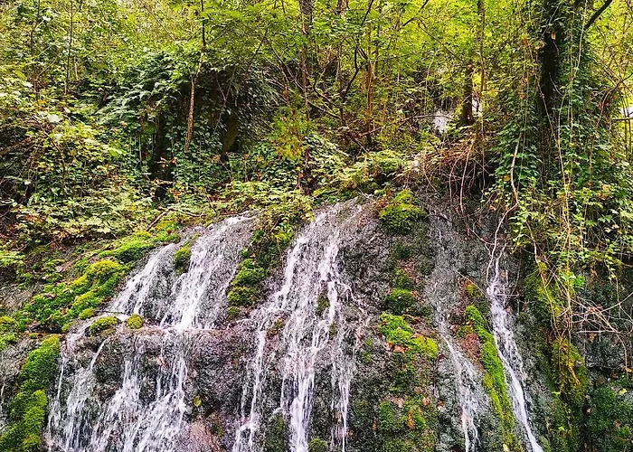 Chalet Dren Lux - Banjska Stena
