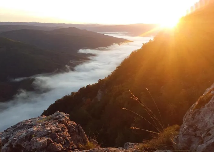 Dren Lux - Banjska Stena *