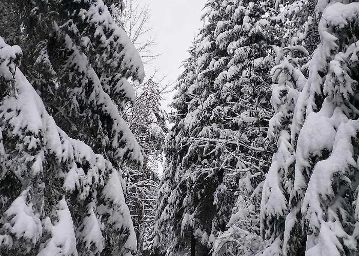 Dren Lux - Banjska Stena *