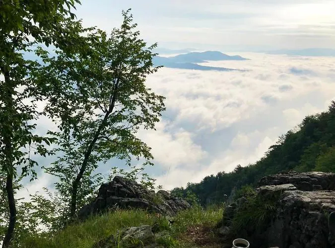 Chalet Dren Lux - Banjska Stena *